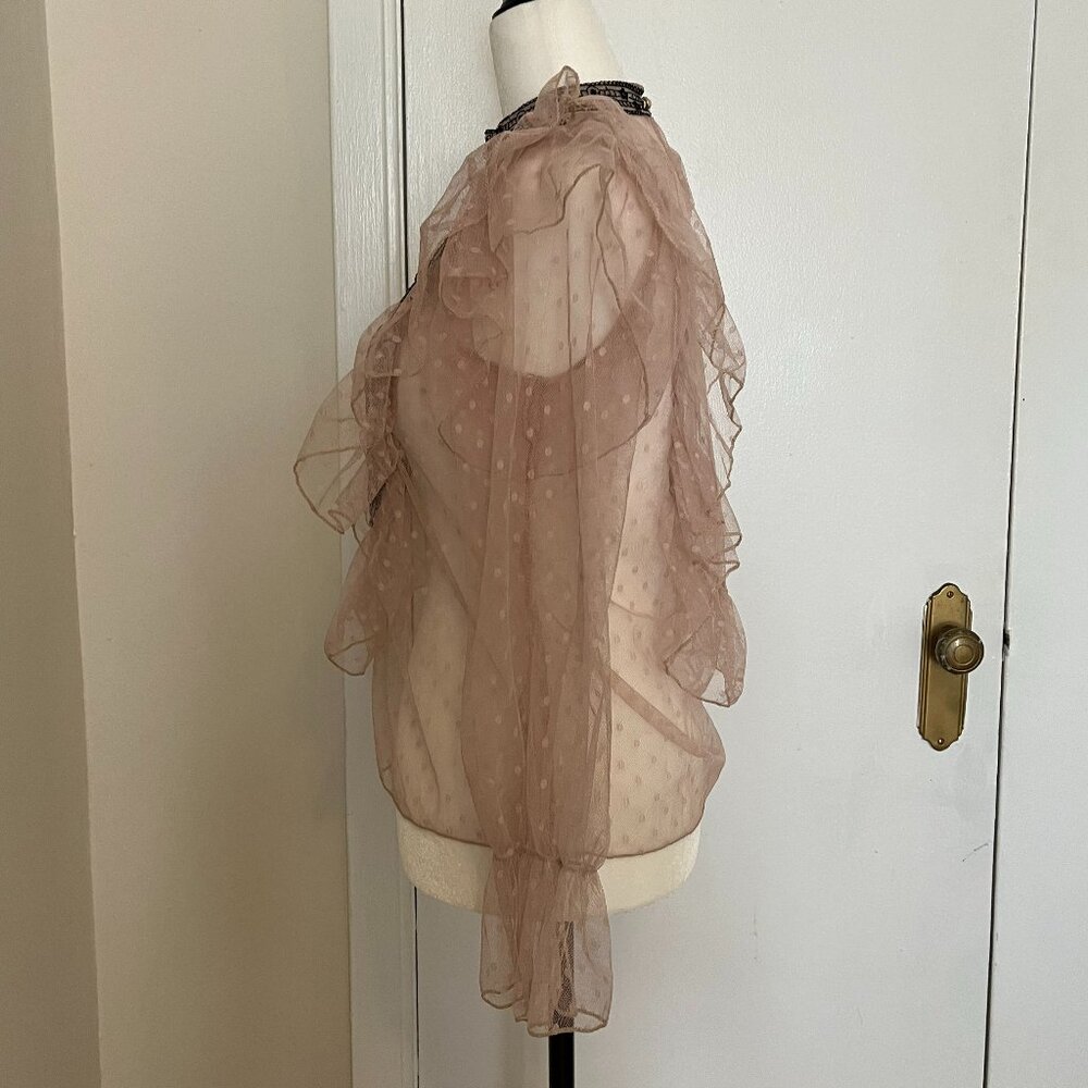 Romantic Sheer Ruffle Blouse with Embroidered Detail - Picture 4 of 9